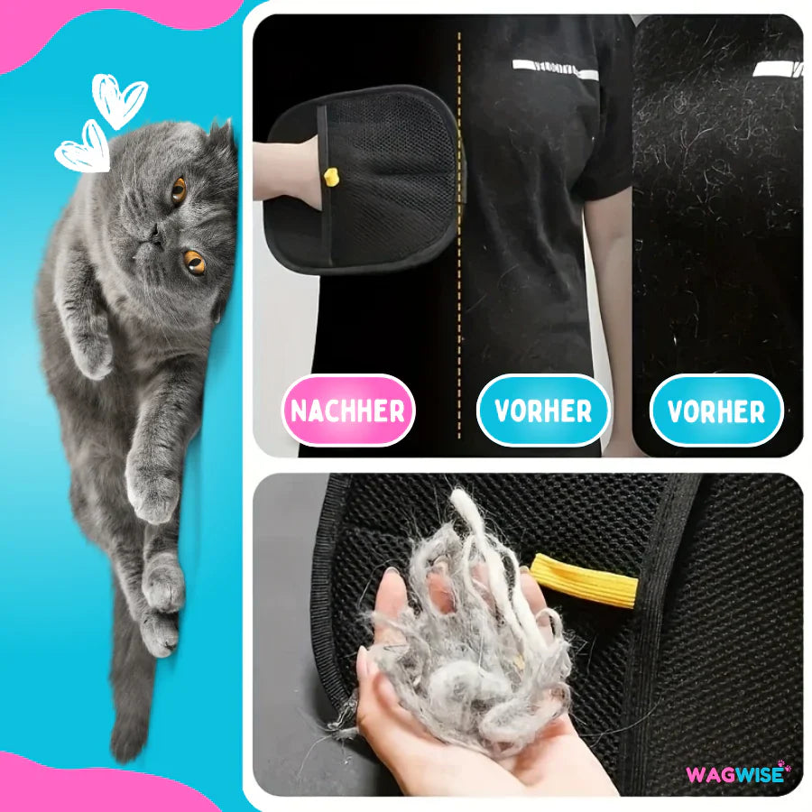 FellMagnet Handschuh - Tierhaarentferner